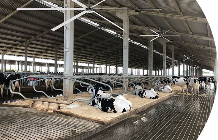 Ventilador PMSM CorTec
