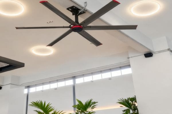 La estrategia del océano azul de España para los aficionados del HVLS